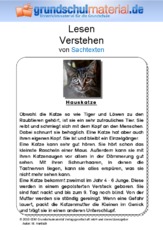 Hauskatze.pdf